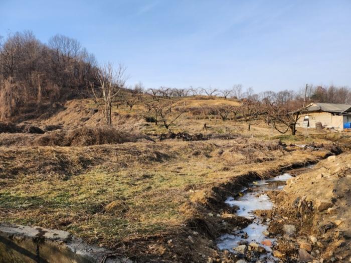 충청북도 충주시 노은면 신효리 614-4 답 경매 사진 9