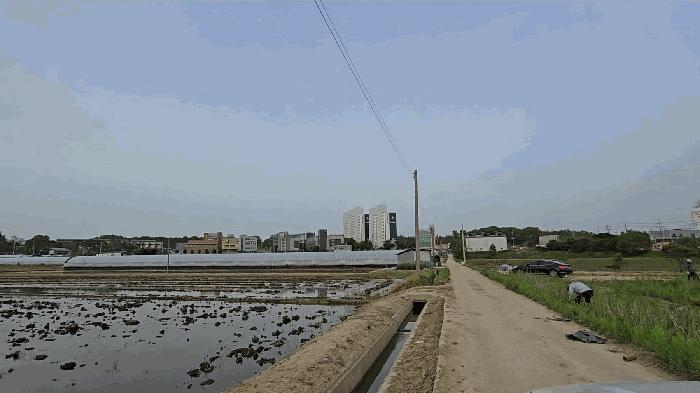 충청북도 음성군 대소면 오류리 327-1 답 경매 사진 2