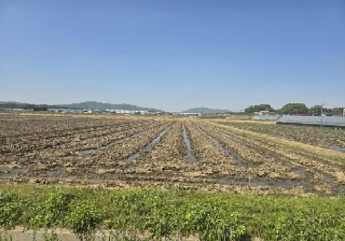 충청북도 음성군 대소면 오류리 327-1 답 경매 사진 3