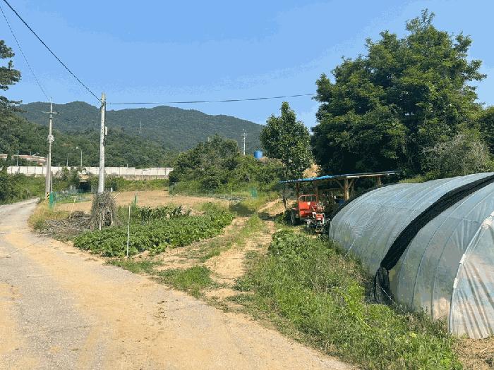 강원특별자치도 원주시 문막읍 반계리 1456 전 경매 사진 3