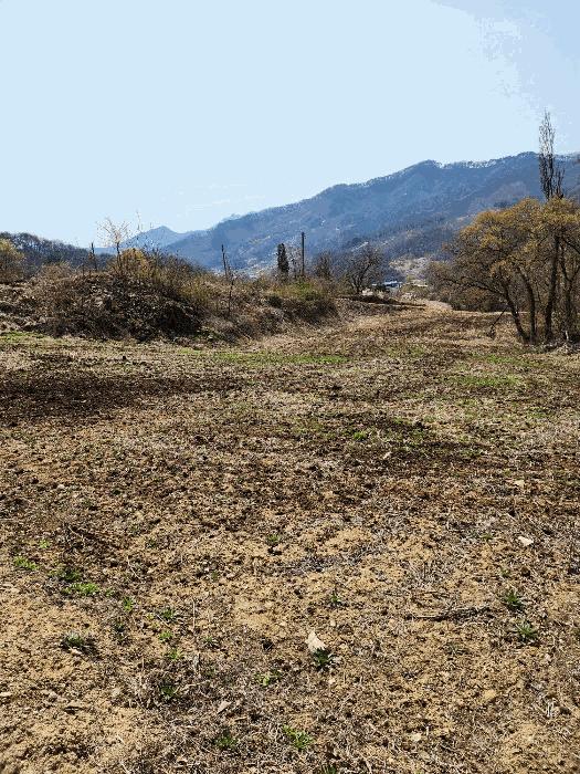 충청북도 충주시 소태면 오량리 54 전 경매 사진 7