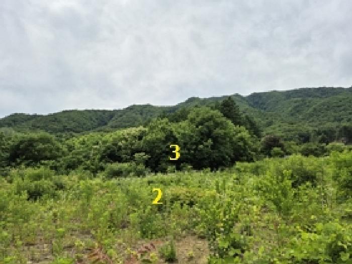 강원특별자치도 원주시 호저면 용곡리 374 전 경매 사진 11