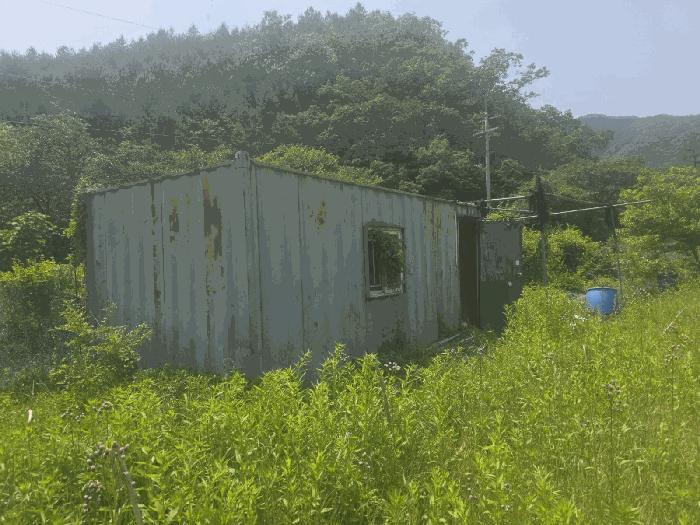 강원특별자치도 원주시 호저면 용곡리 345 전 경매 사진 5