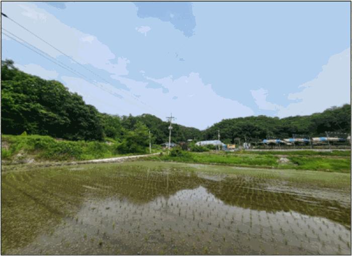 강원특별자치도 원주시 문막읍 궁촌리 산94 임야 경매 사진 2