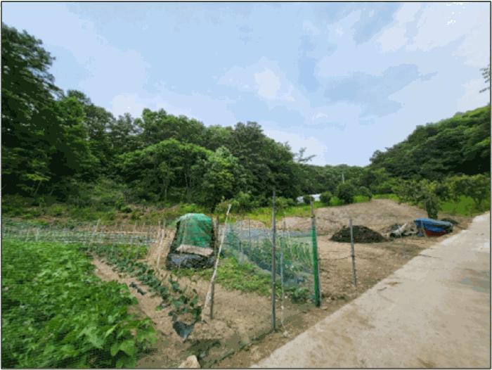 강원특별자치도 원주시 문막읍 궁촌리 산94 임야 경매 사진 3