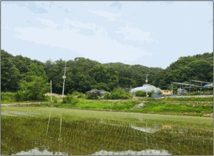 강원특별자치도 원주시 문막읍 궁촌리 산94 임야 경매 사진 5
