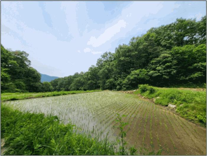 강원특별자치도 원주시 문막읍 궁촌리 산94 임야 경매 사진 6