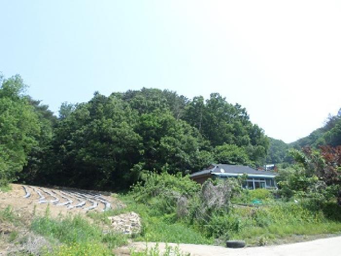 강원특별자치도 원주시 문막읍 궁촌리 산94 임야 경매 사진 7