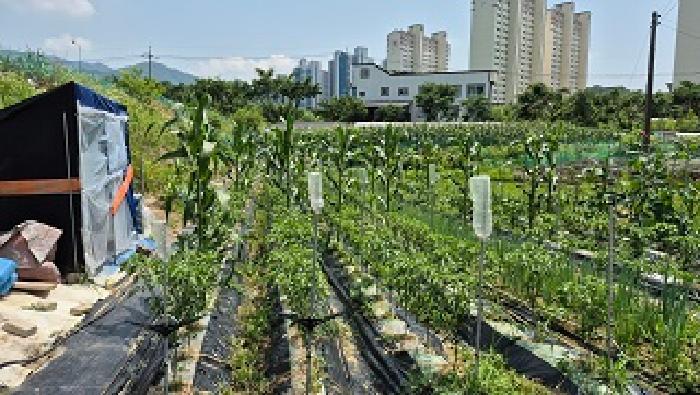 강원특별자치도 원주시 행구동 1423 답 경매 사진 6