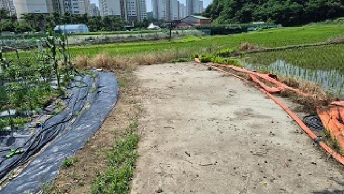 강원특별자치도 원주시 행구동 1423 답 경매 사진 7