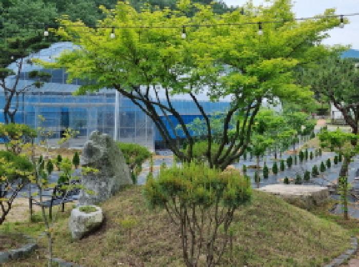 세종특별자치시 장군면 금암리 263-2 답 경매 사진 40