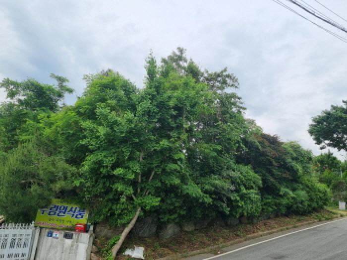 세종특별자치시 장군면 금암리 263-2 답 경매 사진 49