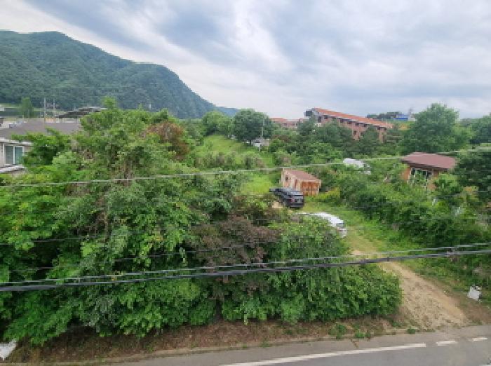 세종특별자치시 장군면 금암리 263-2 답 경매 사진 52