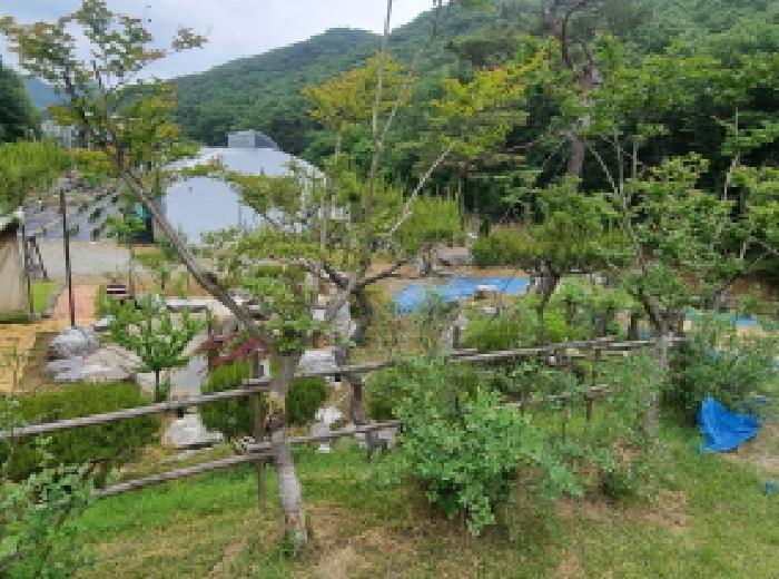 세종특별자치시 장군면 금암리 263-2 답 경매 사진 59