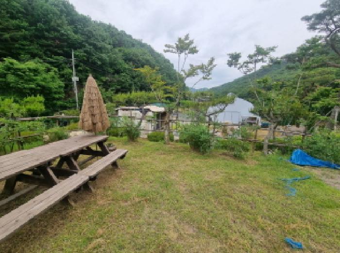 세종특별자치시 장군면 금암리 302-22 대지 경매 사진 28