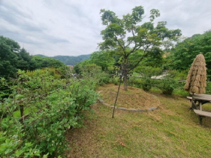 세종특별자치시 장군면 금암리 302-22 대지 경매 사진 29