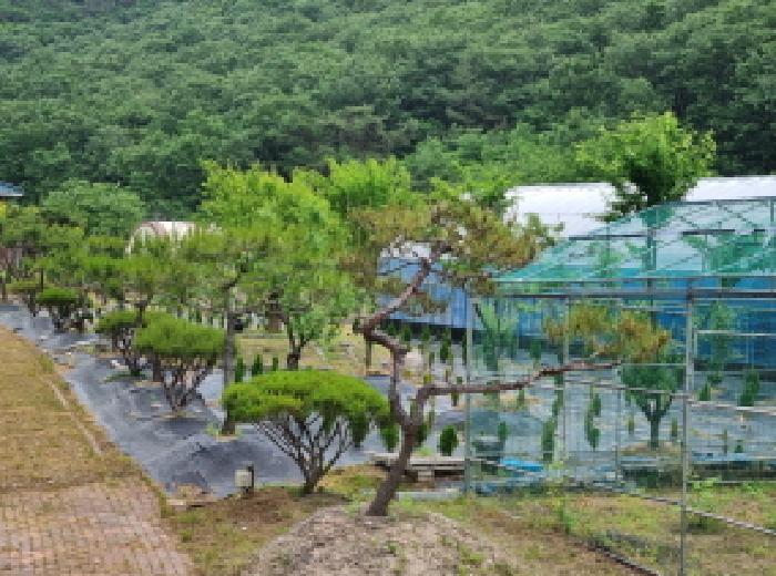 세종특별자치시 장군면 금암리 302-22 대지 경매 사진 35