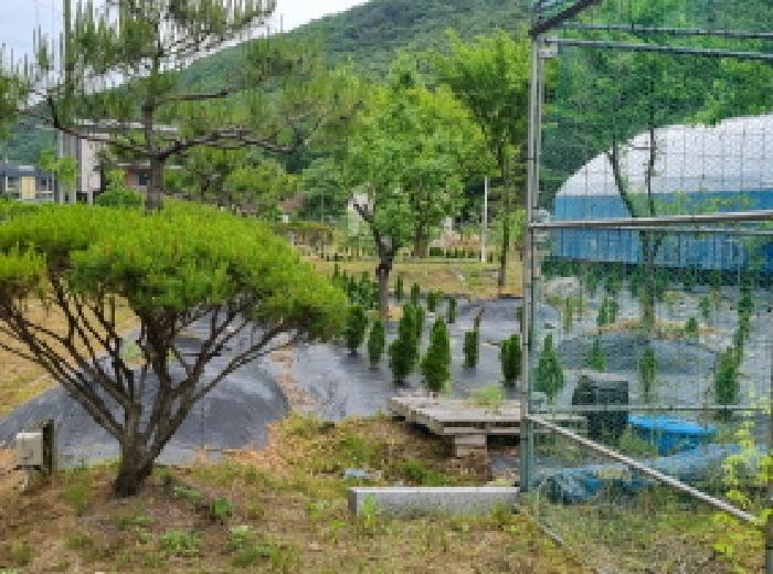세종특별자치시 장군면 금암리 302-22 대지 경매 사진 37