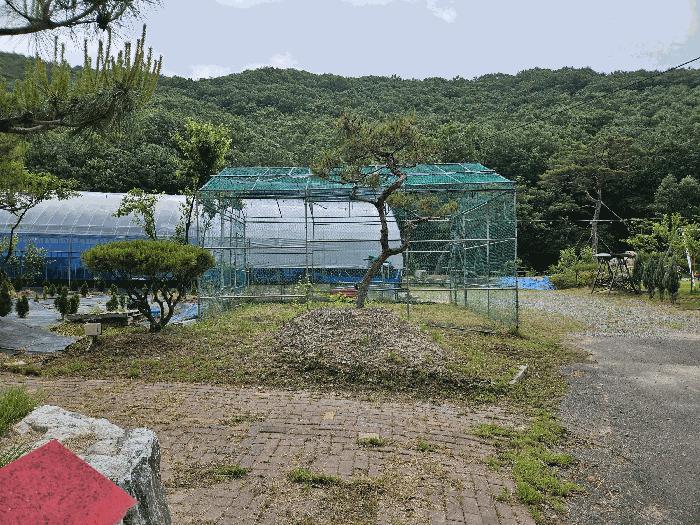 세종특별자치시 장군면 금암리 302-22 대지 경매 사진 4