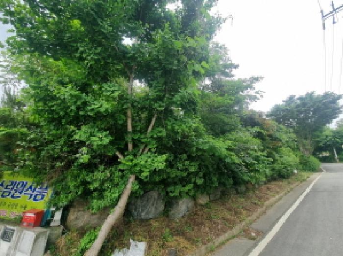 세종특별자치시 장군면 금암리 302-22 대지 경매 사진 48