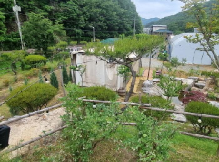 세종특별자치시 장군면 금암리 302-22 대지 경매 사진 60