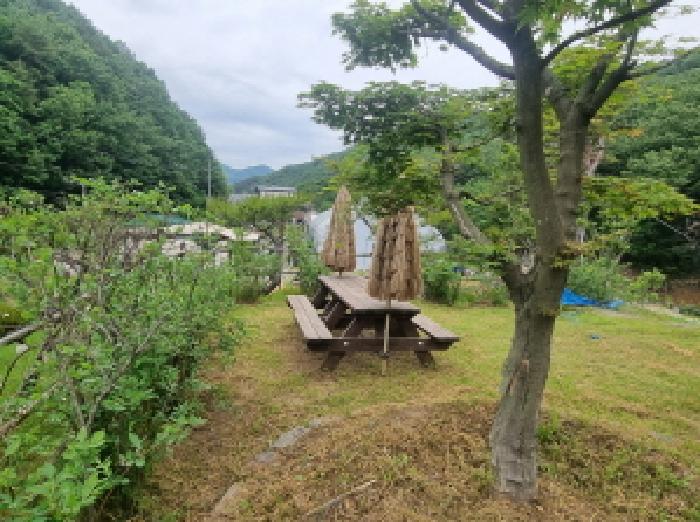 세종특별자치시 장군면 금암리 302-22 대지 경매 사진 63