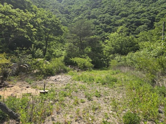 경상남도 밀양시 임야