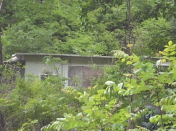 경상남도 밀양시 단장면 구천리 산99 임야 경매 사진 23