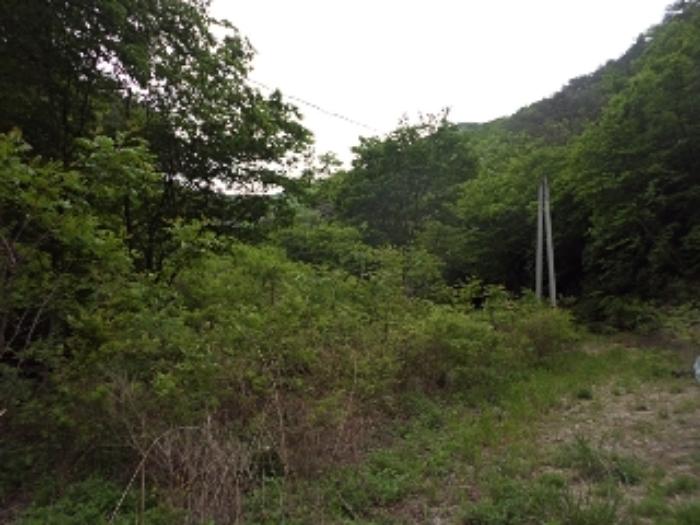 경상남도 밀양시 단장면 구천리 산99 임야 경매 사진 25