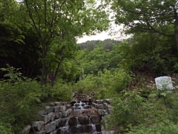경상남도 밀양시 단장면 구천리 산99 임야 경매 사진 27