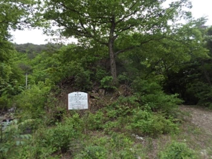 경상남도 밀양시 단장면 구천리 산99 임야 경매 사진 29