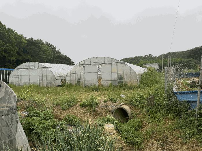 전라남도 무안군 무안읍 용월리 502 전 경매 사진 13