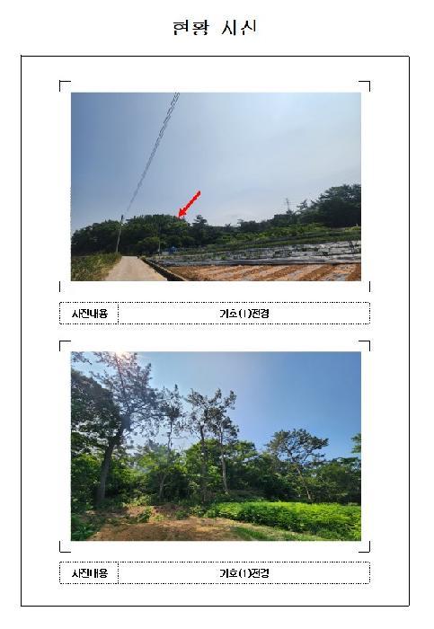 전라남도 영암군 임야