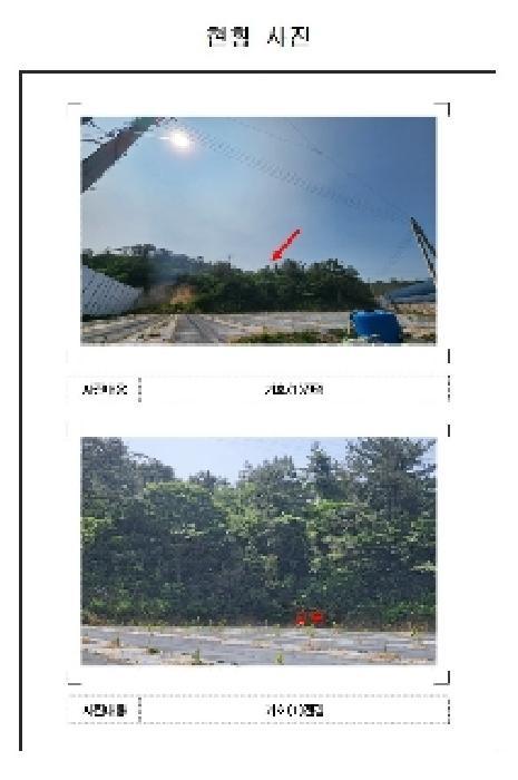 전라남도 영암군 삼호읍 삼포리 산52-1 임야 경매 사진 2