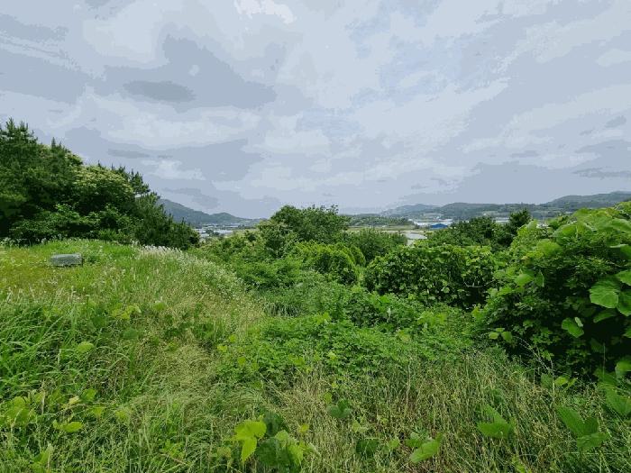 전라남도 함평군 나산면 월봉리 457 전 경매 사진 3