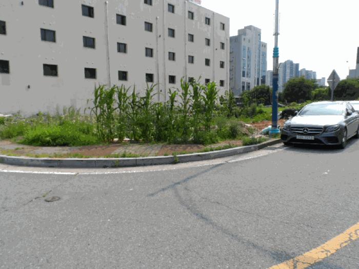 전라남도 무안군 삼향읍 남악리 2044 대지 경매 사진 2