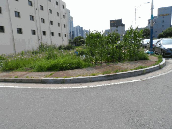 전라남도 무안군 삼향읍 남악리 2044 대지 경매 사진 4