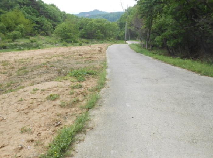 세종특별자치시 연서면 고복리 180 임야 경매 사진 5