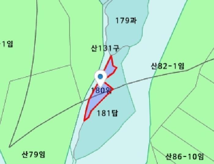 세종특별자치시 연서면 고복리 180 임야 경매 사진 7