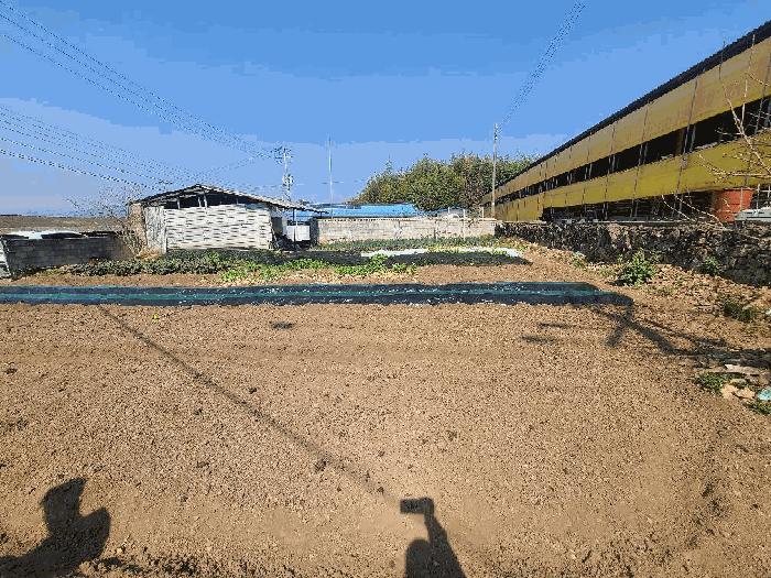 전라남도 장흥군 안양면 기산리 564-1 주택 경매 사진 17