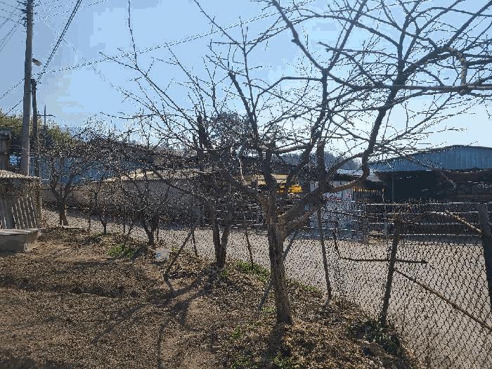 전라남도 장흥군 안양면 기산리 564-1 주택 경매 사진 8