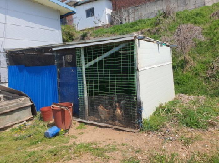 전라남도 강진군 마량면 마량리 1061-5 창고 경매 사진 14