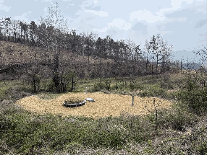 전라남도 강진군 군동면 파산리 297-3 하천 경매 사진 2