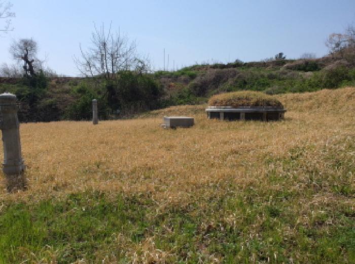 전라남도 강진군 군동면 파산리 297-3 하천 경매 사진 5