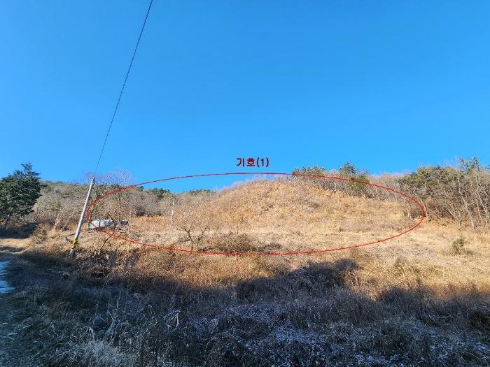 전라남도 장흥군 임야