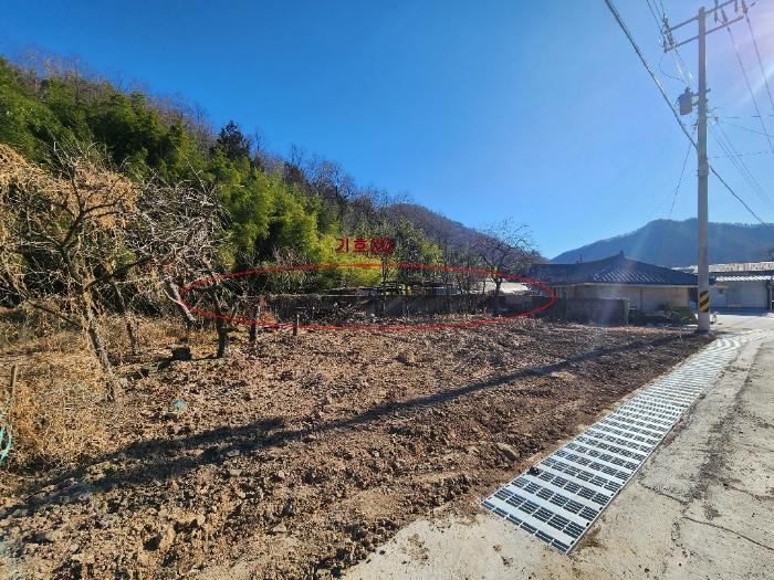 전라남도 장흥군 장흥읍 성불리 산110 임야 경매 사진 5