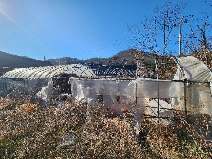 전라남도 장흥군 장흥읍 성불리 80 전 경매 사진 11