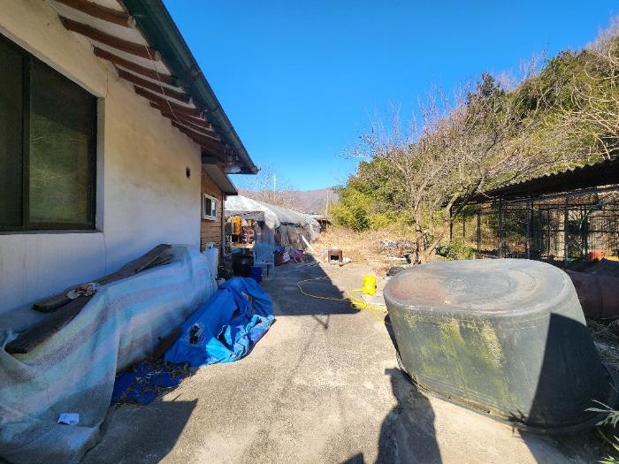 전라남도 장흥군 장흥읍 성불리 470-2 답 경매 사진 6