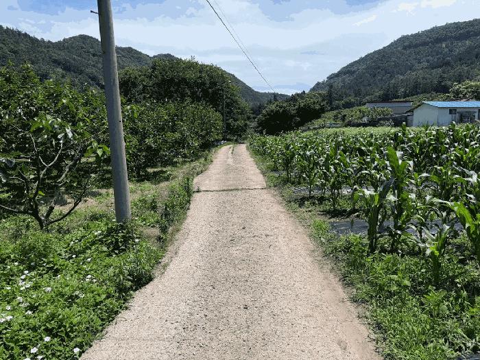 전라남도 강진군 강진읍 춘전리 969 답 경매 사진 2