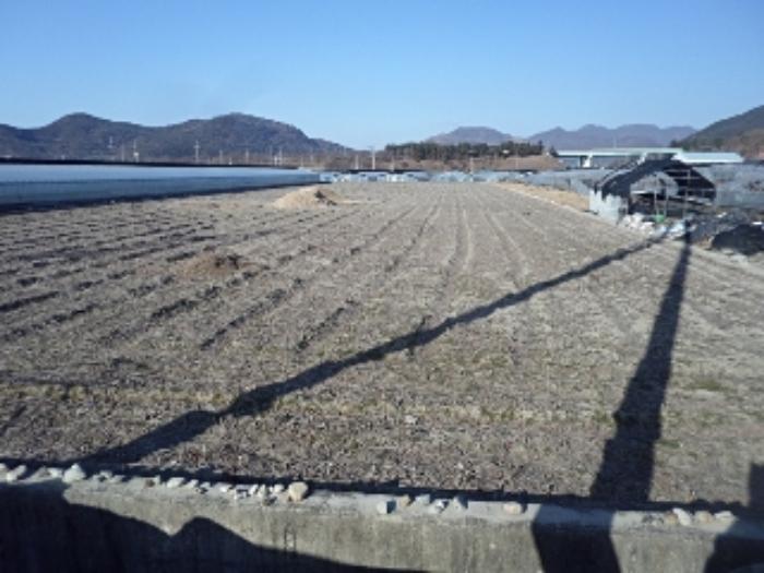 경상남도 밀양시 산외면 금천리 510-1 답 경매 사진 6